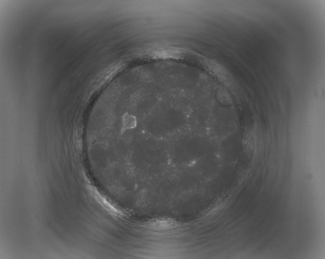 X0000080670402200612151202