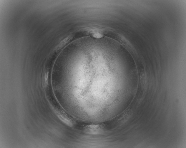 X0000080670406200612151202
