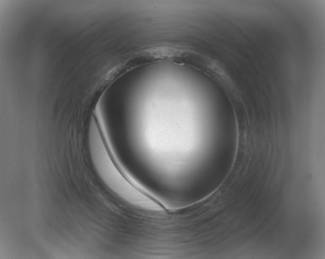 X0000080670411200612151202