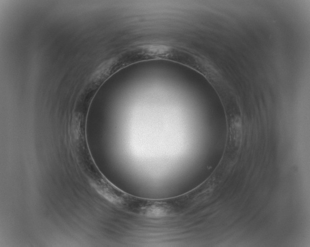 X0000080670412200612151202