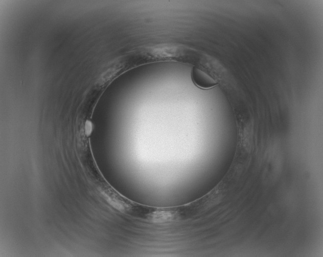 X0000080670418200612151202