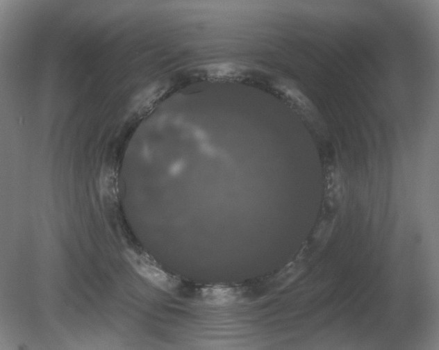 X0000080670419200612151202