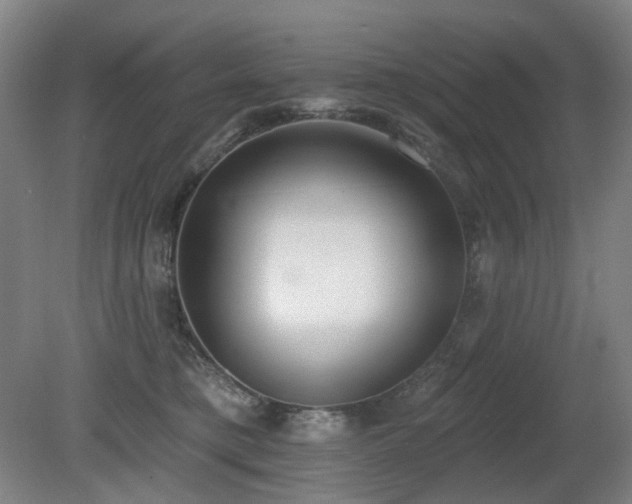 X0000080670421200612151202
