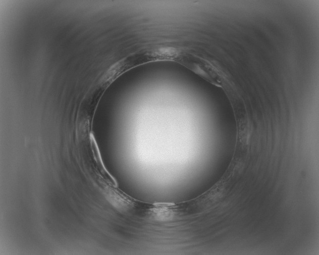 X0000080670425200612151202