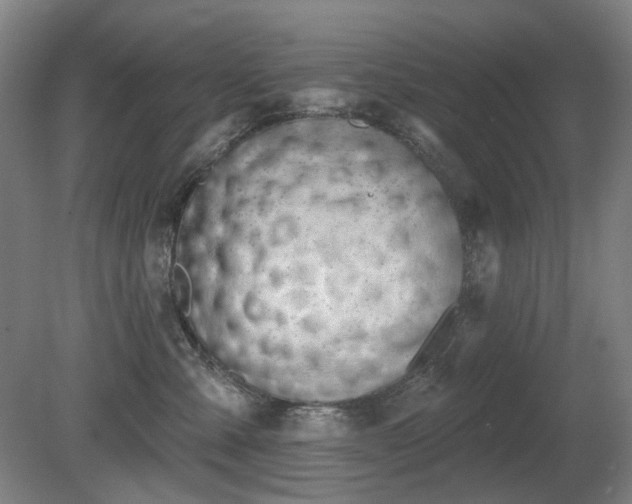 X0000080670427200612151202