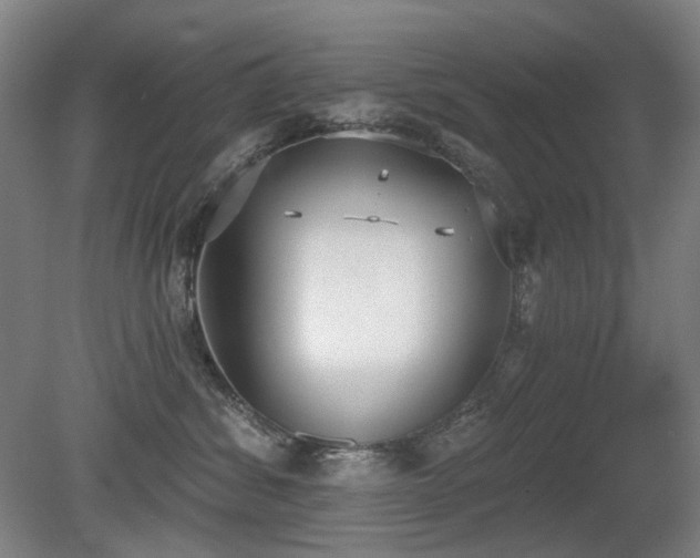 X0000080670428200612151202