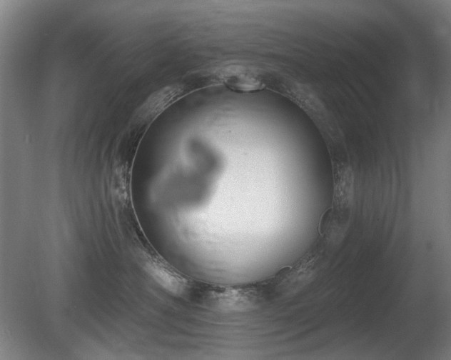 X0000080670430200612151202