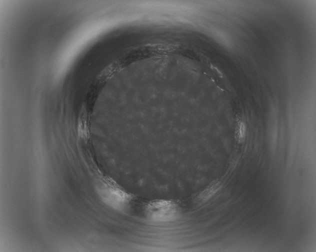 X0000080670431200612151202