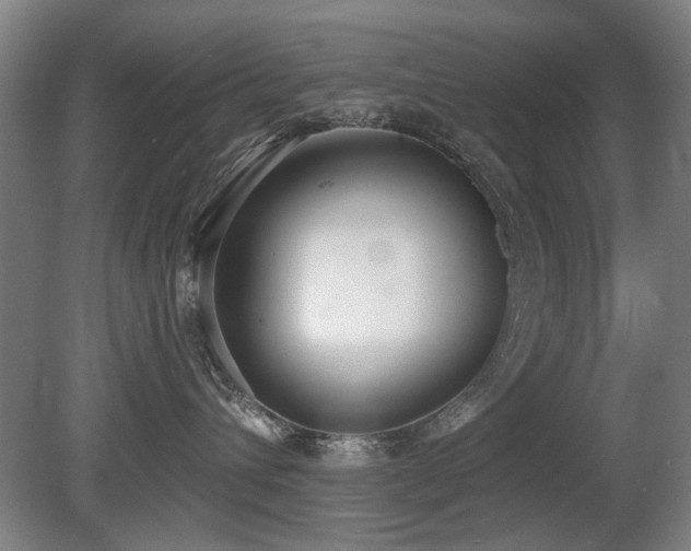 X0000080670432200612151202