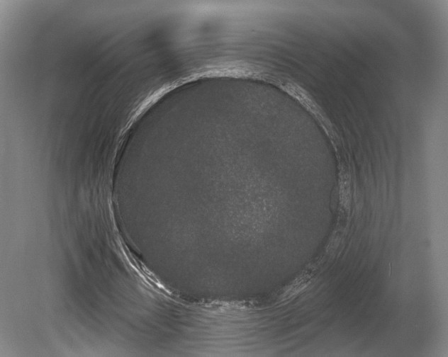 X0000080670434200612151201