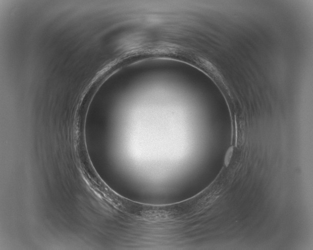 X0000080670435200612151201