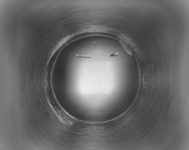X0000080670436200612151201