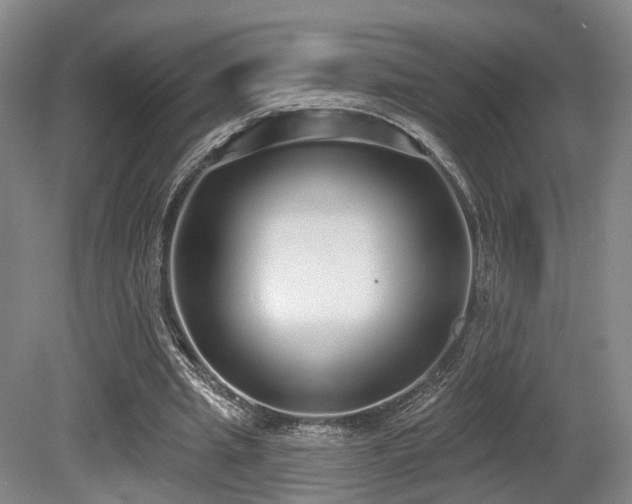 X0000080670437200612151201