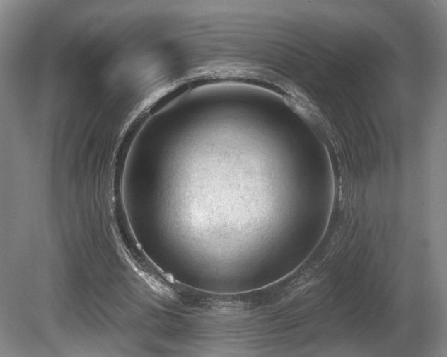 X0000080670438200612151201
