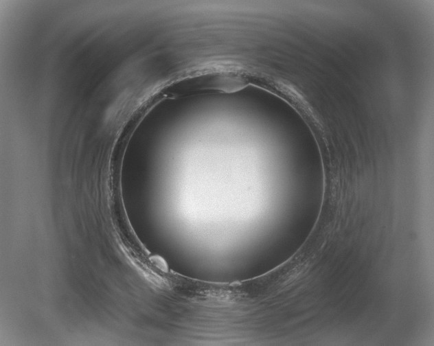 X0000080670439200612151201