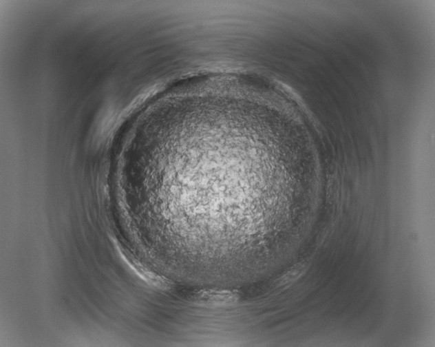 X0000080670443200612151201