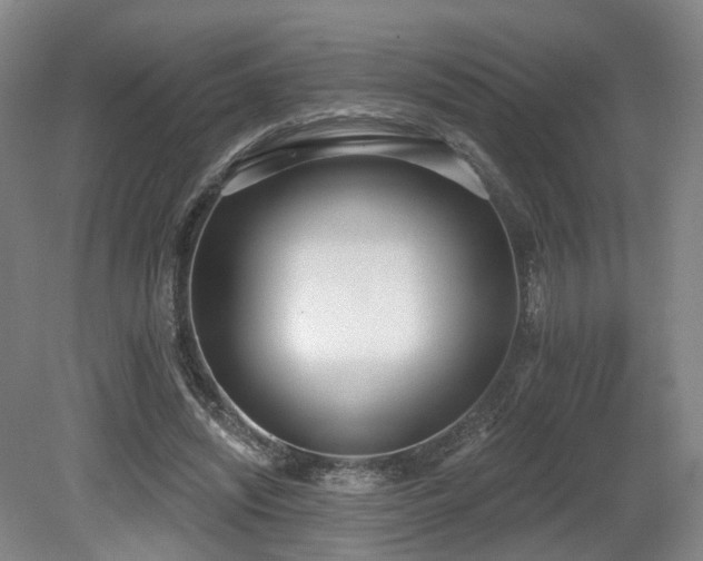 X0000080670444200612151201