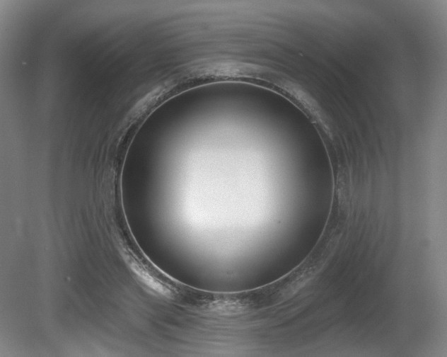 X0000080670445200612151201
