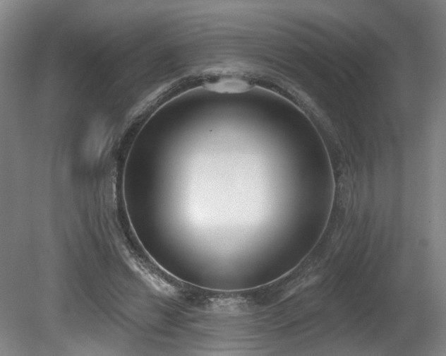 X0000080670446200612151201