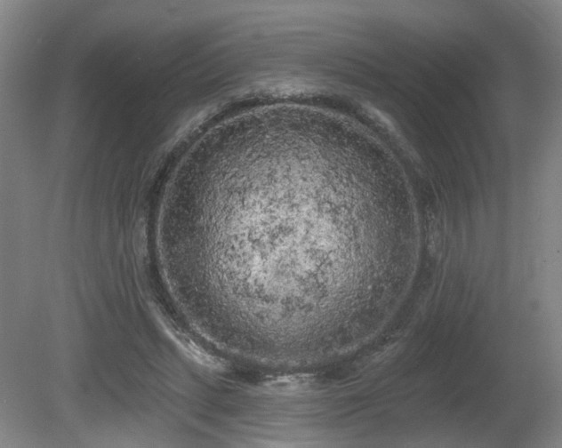 X0000080670447200612151201