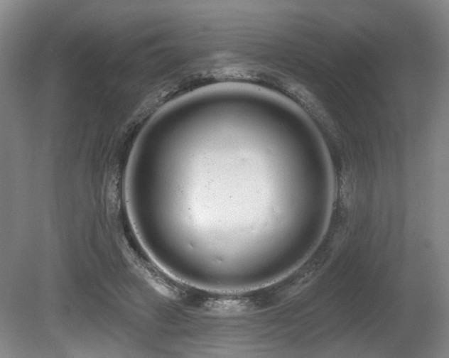 X0000080670449200612151201
