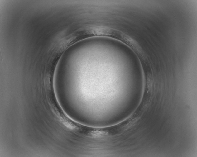 X0000080670453200612151201