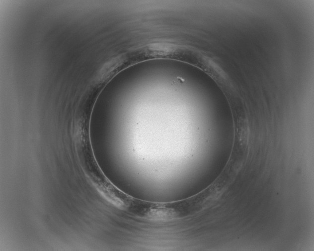 X0000080670455200612151201