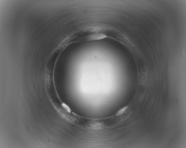 X0000080670456200612151201