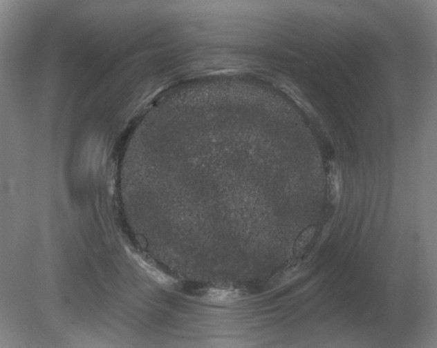 X0000080670458200612151201