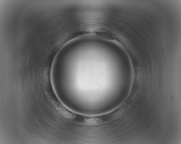 X0000080670461200612151201