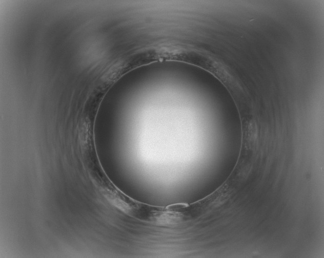 X0000080670463200612151201