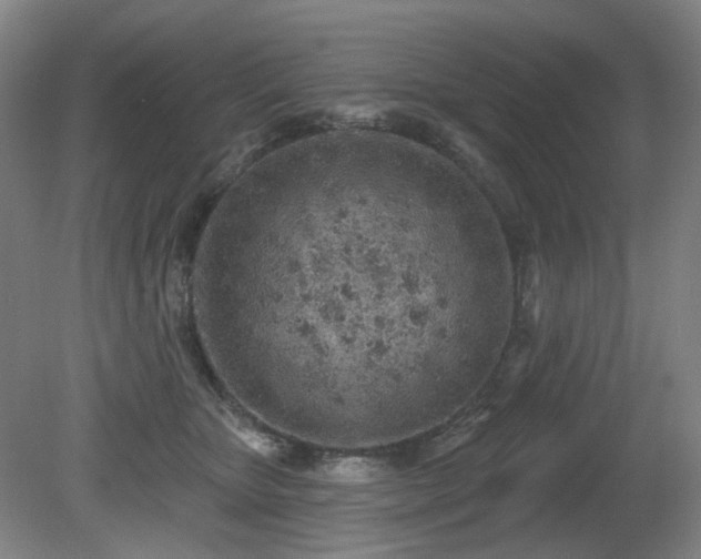X0000080670467200612151201