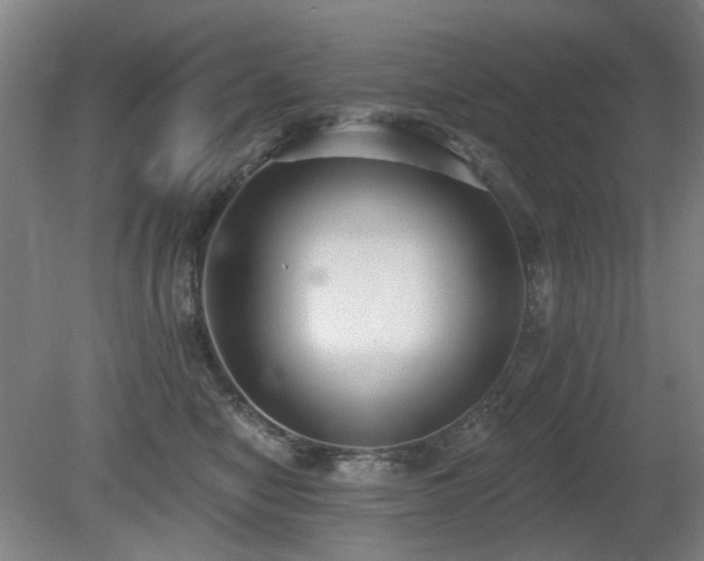 X0000080670470200612151201