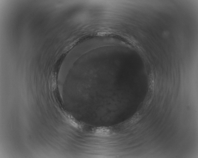 X0000080670471200612151201