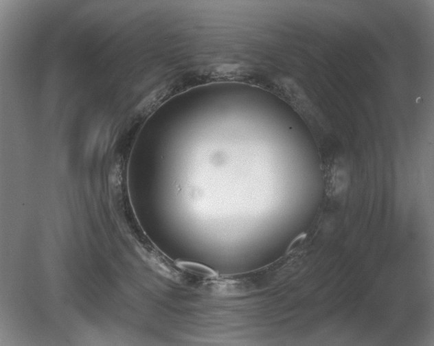 X0000080670472200612151201