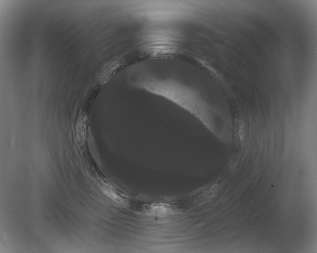 X0000080670475200612151201