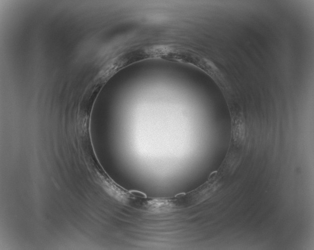 X0000080670477200612151201
