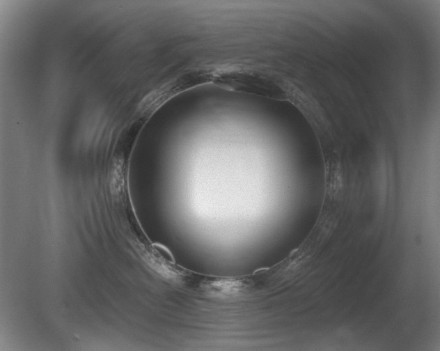 X0000080670478200612151201