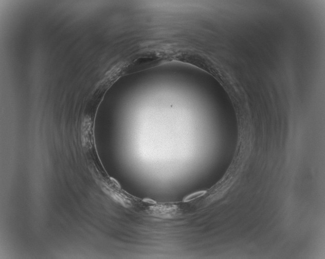 X0000080670480200612151201