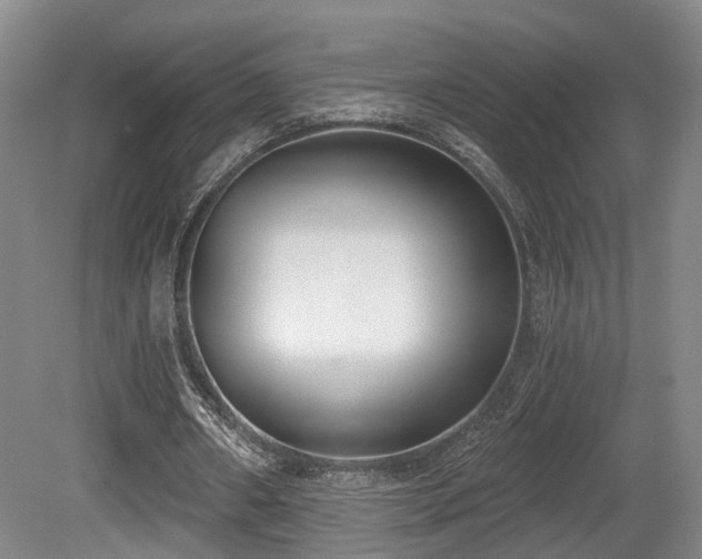X0000080670482200612151201