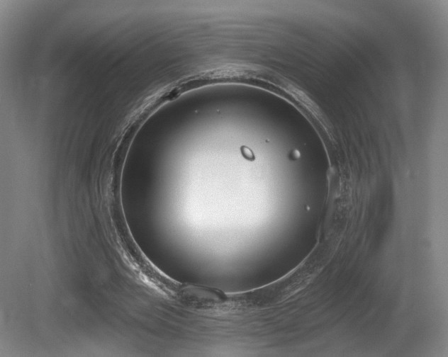 X0000080670485200612151201