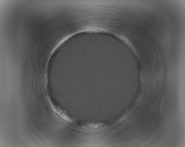 X0000080670488200612151201