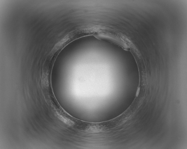 X0000080670489200612151201