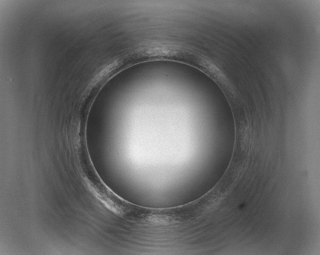 X0000080670490200612151201