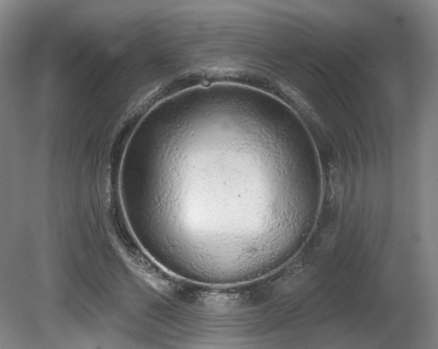 X0000080670494200612151200