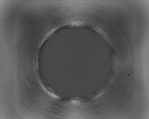 X0000080670496200612151200