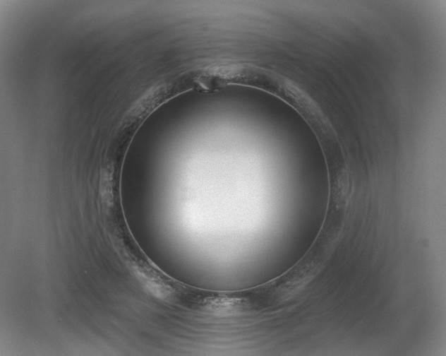 X0000080670497200612151200