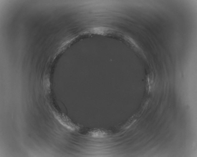 X0000080670500200612151200