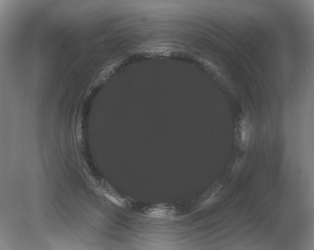 X0000080670504200612151200