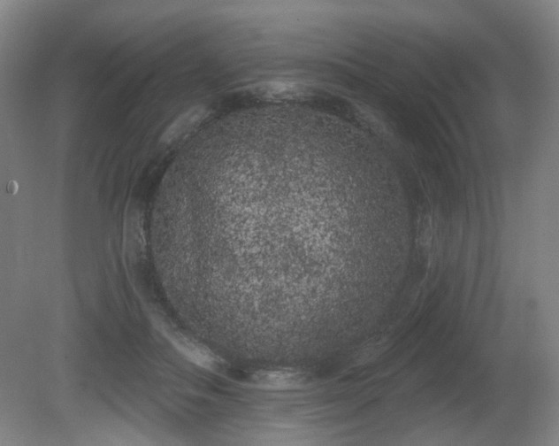 X0000080670506200612151200